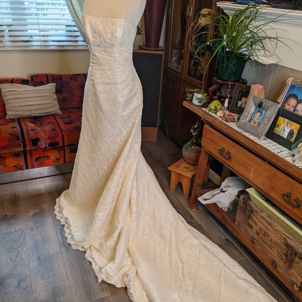 Pronovias Albeniz Tirso Wedding dress - Picture 11 of 15